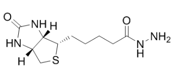 (+)-Biotin hydrazide；66640-86-6；D-生物素酰肼