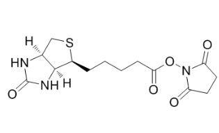 35013-72-0             D-生物素 N-羟基琥珀酰亚胺酯	     D-Biotin N-Succinimidyl Ester	 