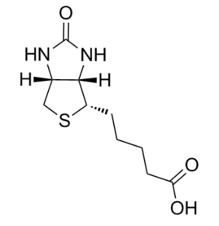 58-85-5             D-Biotin (≥98%, Reagent grade)        D-生物素