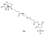 CAS:122266-55-1  NHS-SS-biotin  生物素-二硫键-琥珀酰亚胺酯