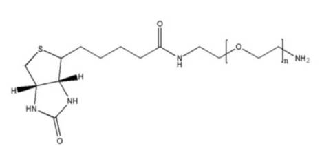 生物素-聚乙二醇-氨基；Biotin-PEG-NH2；可定制