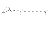 1864003-57-5  (+)-Biotin-SLC  PROTAC linker