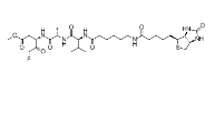 1135688-15-1   生物素VAD-FMK  Biotin-VAD-FMK   胱天蛋白酶抑制剂