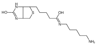 CAS：115416-38-1；生物素-C5-胺；可定制