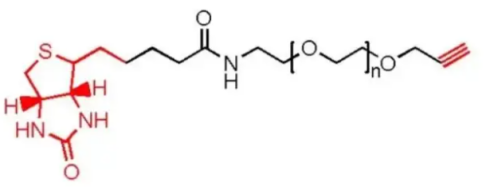 生物素聚乙二醇炔基  