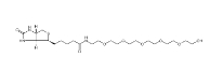 906099-89-6   (+)-Biotin-PEG6-OH 生物素-六聚乙二醇-羟基