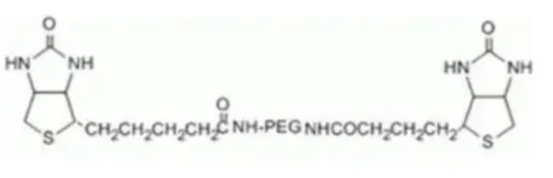 Biotin-PEG10000-Biotin 