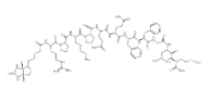 87468-58-4   Biotin-Substance P  生物素标记P物质肽