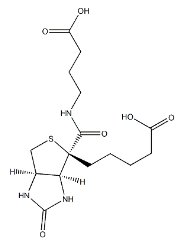 生物素-C5-胺；115416-38-1；5-(Biotinamido)pentylamine