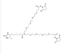 2353409-61-5   N-Desthiobiotin-N-bis(PEG4-NHS ester)   一种 PROTAC linker,属于 PEG 类