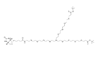 2112730-79-5  N-(Biotin-peg4)-n-bis(peg4-t-butyl ester)  一种 PROTAC linker,属于 PEG 类