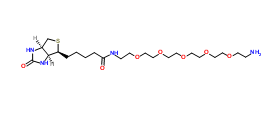 CAS：113072-75-6；Biotin-PEG5-amine