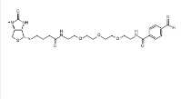 CAS:889443-90-7 生物素-PEG3-苯甲醛  Biotin-PEG3-aldehyde 