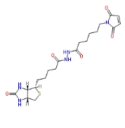 116919-18-7  生物素-马来酰亚胺  Biotin-Maleimide   生物素交联剂