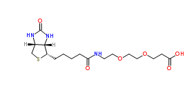 1365655-89-5；Biotin-PEG2-acid；可定制