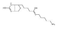 115416-38-1  生物素-C5-胺  5-(Biotinamido)pentylamine 