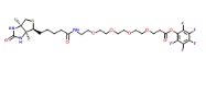 1334172-58-5  生物素-四聚乙二醇-五氟苯酚酯  Biotin-PEG4-PFP ester 