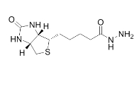 CAS:66640-86-6 生物素酰肼 Biotin Hydrazide  