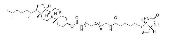 CLS-PEG-Biotin；胆固醇-聚乙二醇-生物素