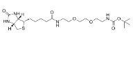 175885-18-4 Biotin-PEG2-NH-Boc   一种生物素修饰的聚乙N-叔丁氧羰基化物