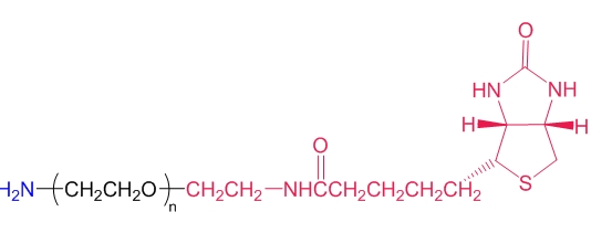 NH2-PEG-Biotin  氨基聚乙二醇生物素