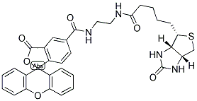 biotin (5 fluorescein) conjugate  