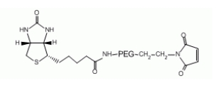 Biotin-PEG-Mal，生物素聚乙二醇马来酰亚胺