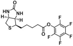 (+)-Biotin-PFP-ester  