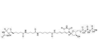 86303-26-6         Biotin-16-dUTP