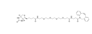 1255942-07-4    DBCO–PEG4–Biotin       DBCO-PEG4-生物素