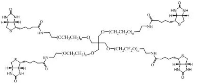 4-Arm PEG-Biotin      四臂-聚乙二醇-生物素