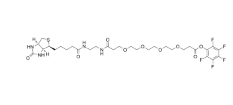 Biotin-amido-PEG4-PFP ester 生物素-四聚乙二醇-五氟苯基酯化合物   一种PROTAC linker，属于 PEG 类