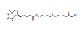 CAS：1381861-94-4；Biotin-PEG3-propionic hydrazide