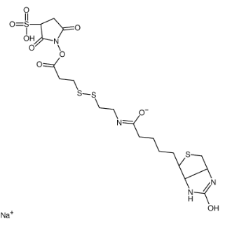 CAS：325143-98-4，Sulfo-NHS-SS-biotin