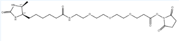 Desthiobiotin-PEG3-NHS este，2411681-92-8