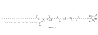 385437-57-0         DSPE-PEG-2K-Biotin小分子PEG	       磷脂酰乙醇胺-聚乙二醇2000-生物素	
