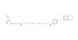 1339202-33-3           Diazo Biotin-PEG3-azide小分子PEG    	重氮生物素三聚乙二醇叠氮	