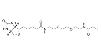 292843-75-5          Biotin-PEG2-iodide小分子PEG	生物素-二聚乙二醇-碘乙酰胺	