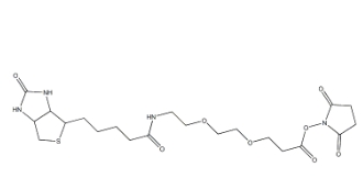 596820-83-6         Biotin-PEG2-NHS	     (+)-生物素-PEG2-NHS酯	