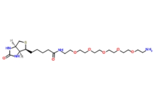113072-75-6          Biotin-PEG5-NH2	         生物素-六聚乙二醇-氨基