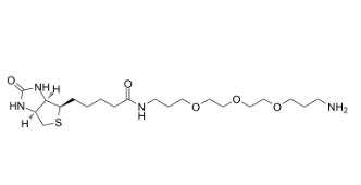 1374658-86-2         Biotin-PEG3-CH2-NH2	生物素-三聚乙二醇-亚甲基-氨基	