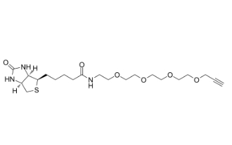 1458576-00-5              Biotin-PEG4-Alkyne	生物素-四聚乙二醇-丙炔基	 
