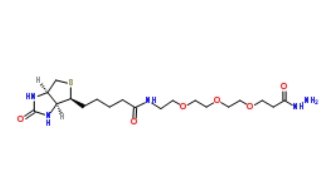 1381861-94-4               Biotin-PEG3-hydrazide	           生物素-PEG3-酰肼	