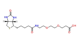 1365655-89-5              Biotin-PEG2-Acid	           生物素-PEG2-酸	