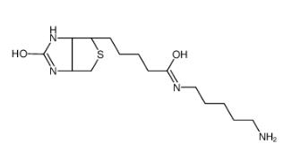 115416-38-1        N-（5-Aminopentyl）biotinamide    	N-(5-氨基戊基)生物素酰胺	