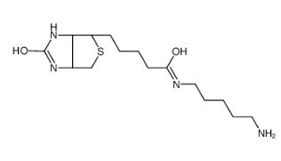 115416-38-1              5-（Biotinamido）pentylamine	         生物素-氨基	