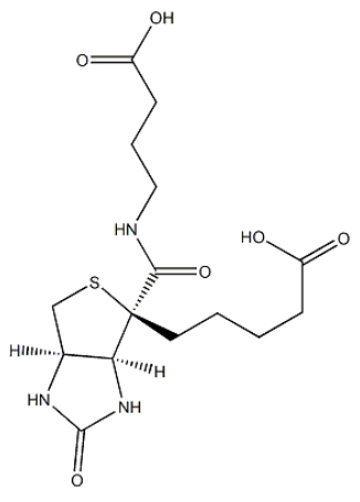 35924-87-9        4-（（Biotinoyl）amino）Butyric acid	生物素酰基-4-氨基丁酸	