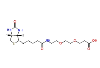 1365655-89-5         Biotin-PEG2-acid	生物素-PEG2-酸	