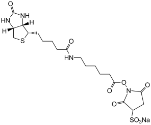 Sulfo-NHS-LC-Biotin sodium  