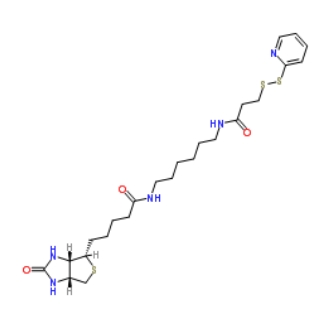129179-83-5,Biotin-HPDP,双硫键生物素交联剂